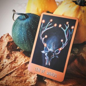 Raven's Prophecy Tarot - Ảnh 7