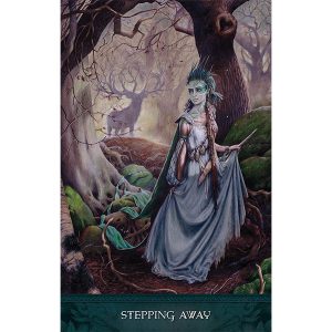 Raven's Wand Oracle - Ảnh 3