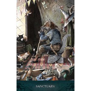 Raven's Wand Oracle - Ảnh 6