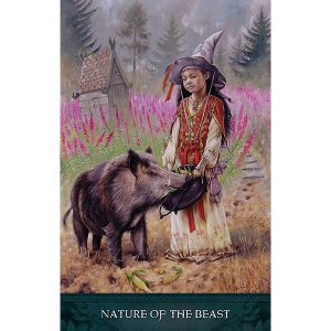 Raven's Wand Oracle - Ảnh 7