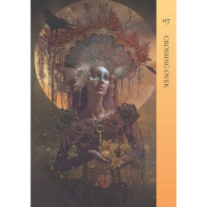 Resurrection Oracle - Ảnh 3