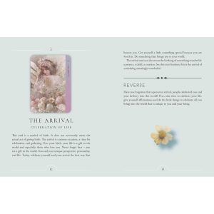 Resurrection Oracle - Ảnh 7