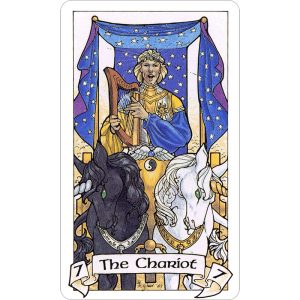 Robin Wood Tarot - Ảnh 4