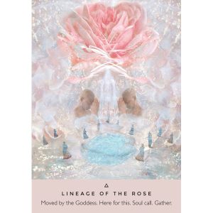 Rose Oracle - Ảnh 3