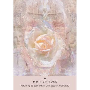 Rose Oracle - Ảnh 4