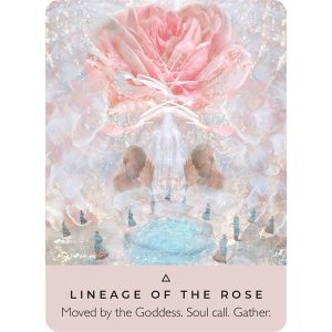 Rose Oracle - Pocket Edition - Ảnh 5