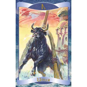 Runes Oracle Cards - Ảnh 7