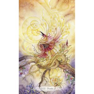 Shadowscapes Tarot Bookset - Ảnh 5
