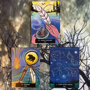 Sacred Medicine Oracle - Ảnh 14