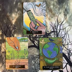 Sacred Medicine Oracle - Ảnh 10