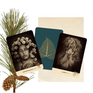 Sacred Nature Oracle - Ảnh 5