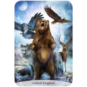 Sacred Power Reading Cards - Ảnh 4