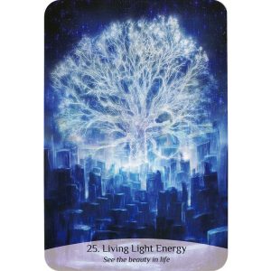 Sacred Spirit Reading Cards - Ảnh 12