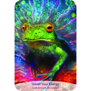 Sacred Spirit Reading Cards - Ảnh 3