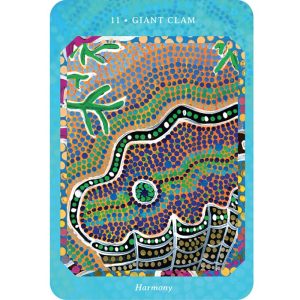 Saltwater Reading Cards - Ảnh 4