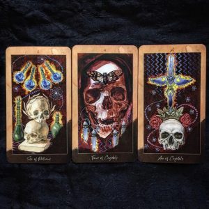Santa Muerte Tarot (Dark Synevyr) - Ảnh 10
