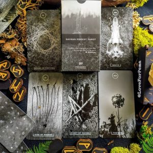Savran Forest Tarot - Ảnh 7