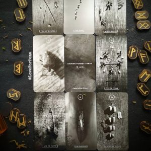 Savran Forest Tarot - Ảnh 8