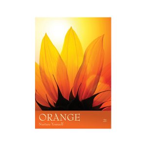 Secret Language of Color Cards - Ảnh 8