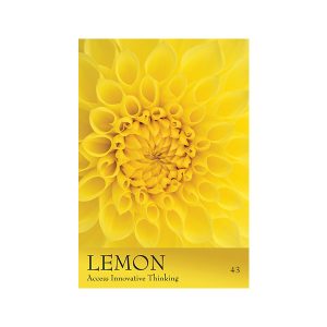 Secret Language of Color Cards - Ảnh 7