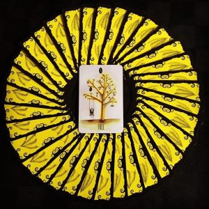 Shadowland Lenormand - Ảnh 13