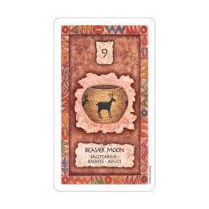 Shaman Wisdom Cards - Ảnh 4