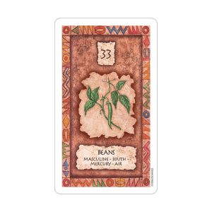 Shaman Wisdom Cards - Ảnh 3