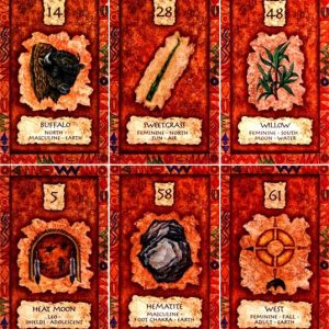 Shaman Wisdom Cards - Ảnh 5