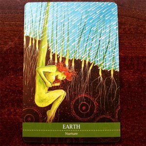 Shamanic Medicine Oracle Cards - Ảnh 10