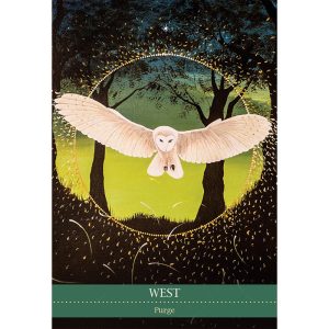 Shamanic Medicine Oracle Cards - Ảnh 3