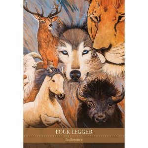 Shamanic Medicine Oracle Cards - Ảnh 6