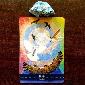 Shamanic Medicine Oracle Cards - Ảnh 9