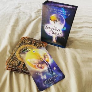 Shaman's Dream Oracle - Ảnh 13