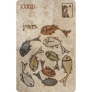 Silson Lenormand - Ảnh 12