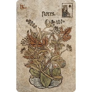 Silson Lenormand - Ảnh 4