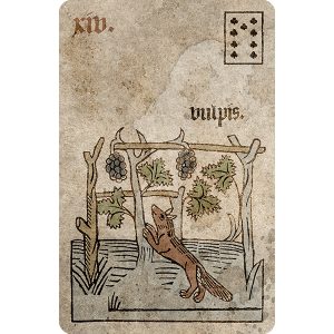 Silson Lenormand - Ảnh 6