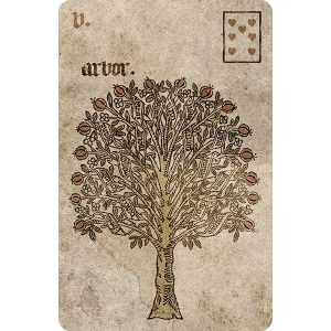 Silson Lenormand - Ảnh 9