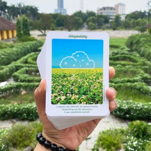 SOLAR Cards (Speak of Life: Affirmation & Rejuvenation Cards) - Ảnh 11