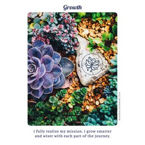 SOLAR Cards (Speak of Life: Affirmation & Rejuvenation Cards) - Ảnh 3