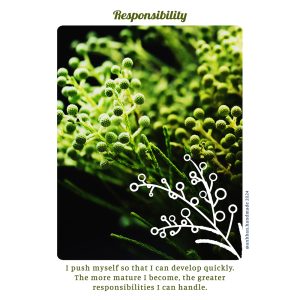 SOLAR Cards (Speak of Life: Affirmation & Rejuvenation Cards) - Ảnh 5