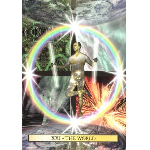Son Tarot: For Gay Men - Ảnh 7