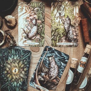 Soul Cats Tarot - Ảnh 13
