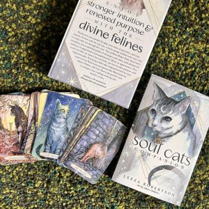 Soul Cats Tarot - Ảnh 17