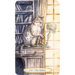 Soul Cats Tarot - Ảnh 4