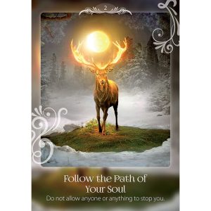 Soul Helper Oracle - Ảnh 3