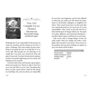 Soul Helper Oracle - Ảnh 8