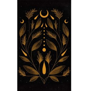 Soul Mirror Oracle - Ảnh 10