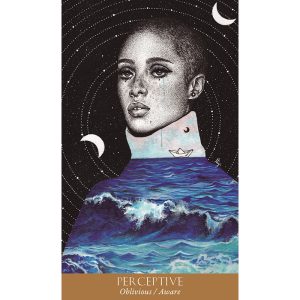 Soul Mirror Oracle - Ảnh 5