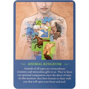 Spirit Messages Daily Guidance Oracle - Ảnh 5