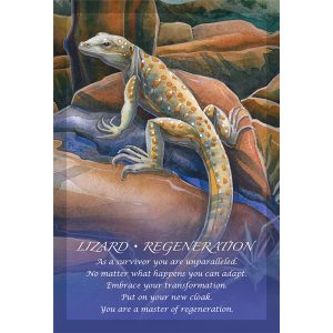 Spirit of The Animals Oracle - Ảnh 4
